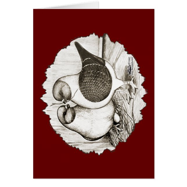 モデナ・ガッツィ・ピーコック (正面)