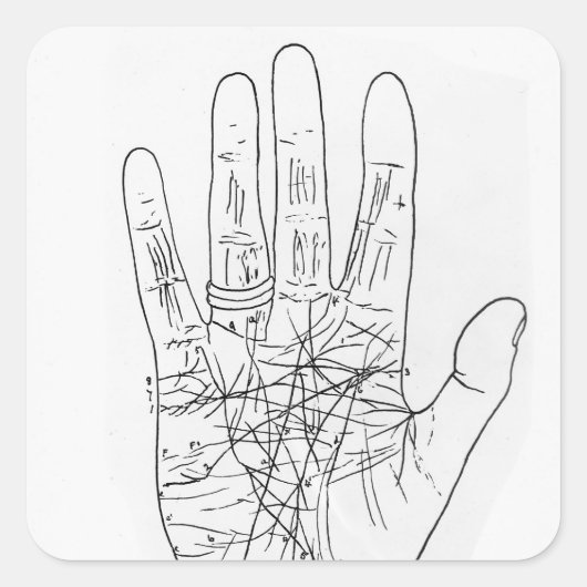 モデルの手 スクエアシール (正面)