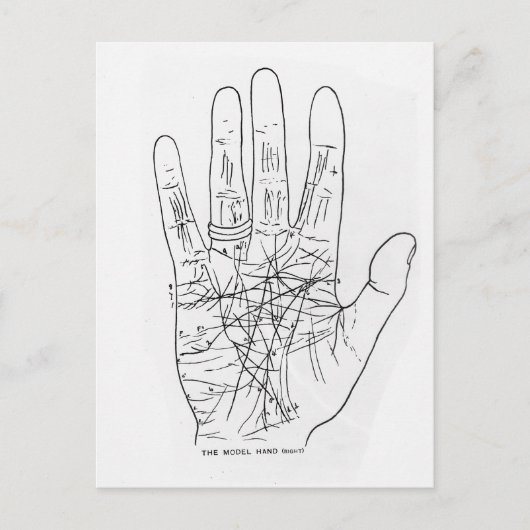 モデルの手 ポストカード (正面)