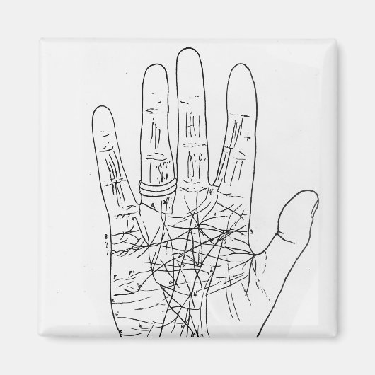 モデルの手 マグネット (正面)