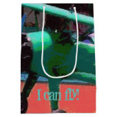 モデルカラフル飛行機 ミディアムペーパーバッグ (裏面)