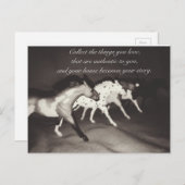 モデル馬好きが好きなものを集める ポストカード (正面/裏面)