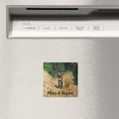 モトクロスダートバイクチャンピオンレース マグネット (インサイチュ (食洗機))