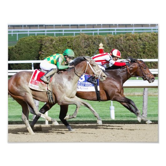 モドネガルフォトプリント フォトプリント            (正面)