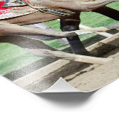 モドネガルフォトプリント フォトプリント            (角)