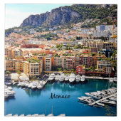 モナコポート タイル (正面)