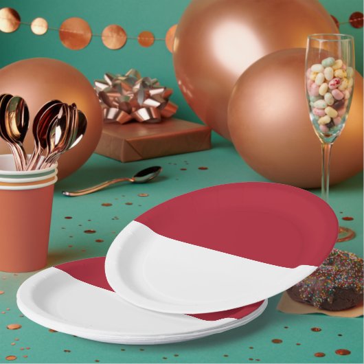 モナコ国旗 ペーパープレート (複数)