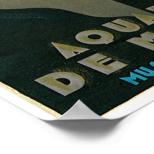 モナコ水槽 ポスター (角)