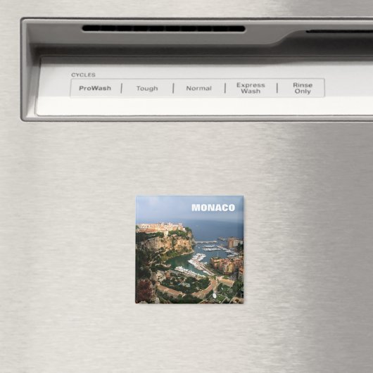 モナコ磁石 マグネット (インサイチュ (食洗機))