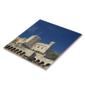 モナコ、コートダズル、プリンスパレス。 タイル (側面)