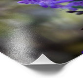 モナラベンダー フォトプリント            (角)