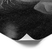 モナリサと新しいスマイル ポスター (コーナー)