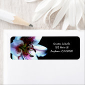 モナリサリリー住所 シール (インサイチュ)