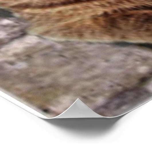 モナリザとその猫 ポスター (角)