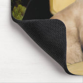 モナリザ – シールポイントシャム猫 マウスパッド (コーナー)