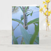 「モナークの幼虫 #1」イースターカード カード (黄色い花)