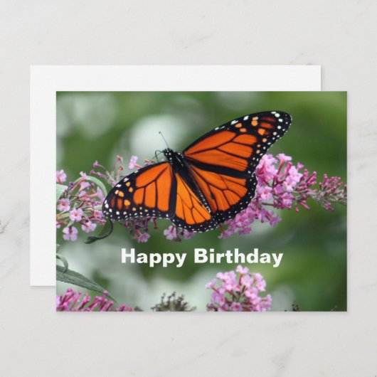 モナークオレンジ蝶の花の写真の誕生日 ポストカード (正面/裏面)