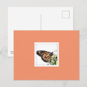 モナーク蝶（カラー） ポストカード (正面/裏面)