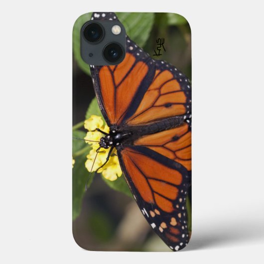 モナークiPadケース Case-Mate iPhoneケース (裏面)