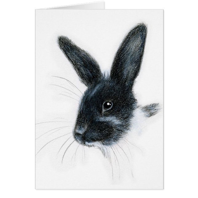 モナ・リザ (正面)