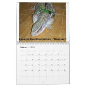 モニターの12か月 カレンダー (2月 2026)