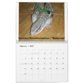 モニターの12か月 カレンダー (2月 2027)