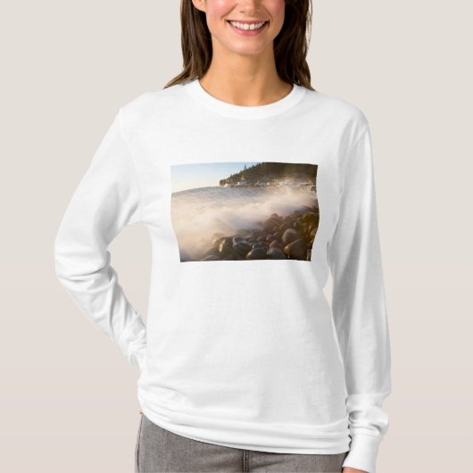 モニュメントの敷石の上をサーフィンが洗う Tシャツ (正面)