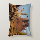 モニュメントバレーアリゾナ南西部アクセント枕 アクセントクッション (正面(垂直))