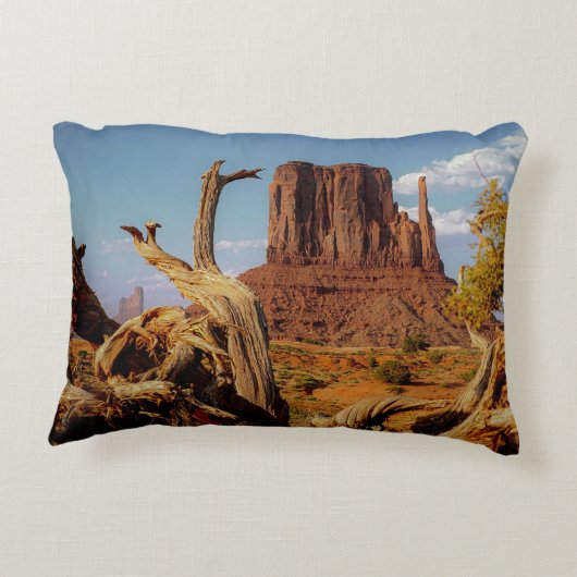 モニュメントバレーアリゾナ南西部アクセント枕 アクセントクッション (裏面)