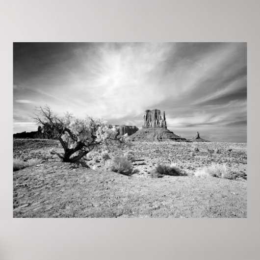モニュメントバレー ポスター (正面)