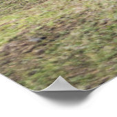 モニュメント |イースター島（チリ） ポスター (角)