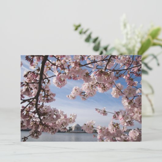 モニュメント |ジェファーソン記念さくらんぼの花 サンキューカード (スタンド正面)