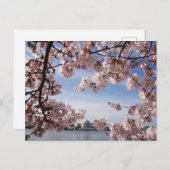 モニュメント |ジェファーソン記念さくらんぼの花 ポストカード (正面/裏面)