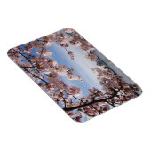 モニュメント |ジェファーソン記念さくらんぼの花 マグネット (右側)