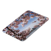 モニュメント |ジェファーソン記念さくらんぼの花 マグネット (左側)