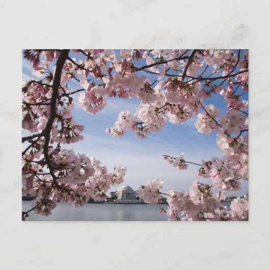 モニュメント | ジェファーソン記念館の桜 ポストカード (正面)