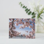 モニュメント | ジェファーソン記念館の桜 ポストカード (スタンド正面)