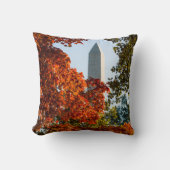 モニュメント |ワシントン記念碑 クッション (正面)