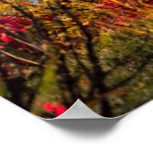 モニュメント |聖バジル大聖堂モスクワ ポスター (角)