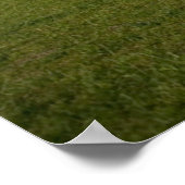 モニュメント | Washington Monument with Flags ポスター (角)