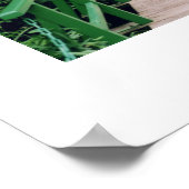 モネの家の敷地 ポスター (角)