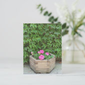 モネの花 ポストカード (スタンド正面)