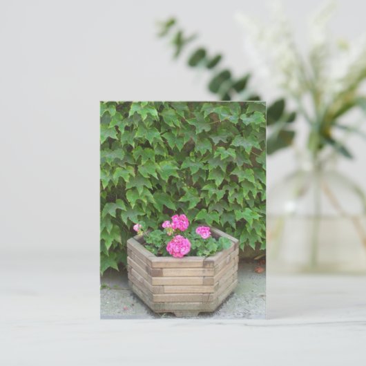 モネの花 ポストカード (スタンド正面)