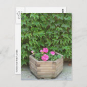 モネの花 ポストカード (正面/裏面)