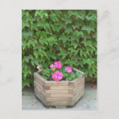 モネの花 ポストカード (正面)