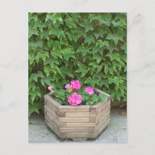 モネの花 ポストカード (正面)