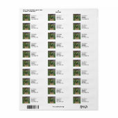 モネガーデンヴェテウイルインプレシショニム絵画ズ ラベル (フルシート)