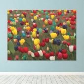 モネズガーデンフランスのアットジヴェルニーカラフルチューリップ キャンバスプリント (インサイチュ (ウッドフロア))