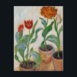 モネ3ポットズオブチューリップ ポストカード<br><div class="desc">このフローラはまだ生活は"チューリップの3つのポット"。1882年から1885年の間に印象派のアーティストフランスの、クロード・オスカー・モネ(1840年~1926年)によって行われた。我々のファインアートシリーズは243号。</div>