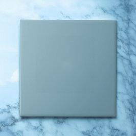 モノクエレガントロブルーミニマリストモダンパステル タイル